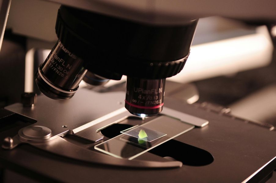 Rising number doubt honesty among scientists